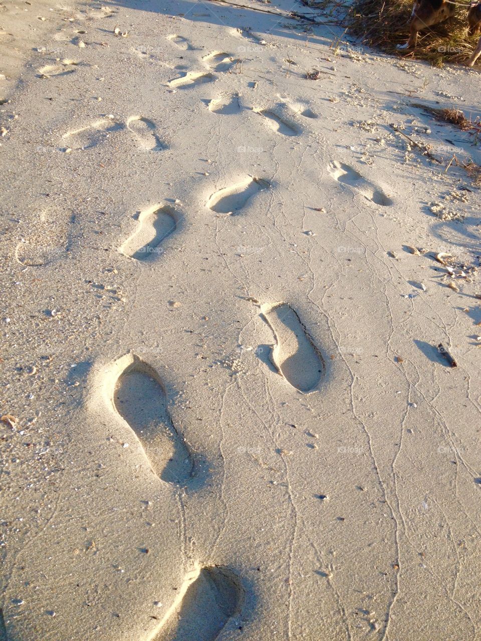 Footprints in the sand 