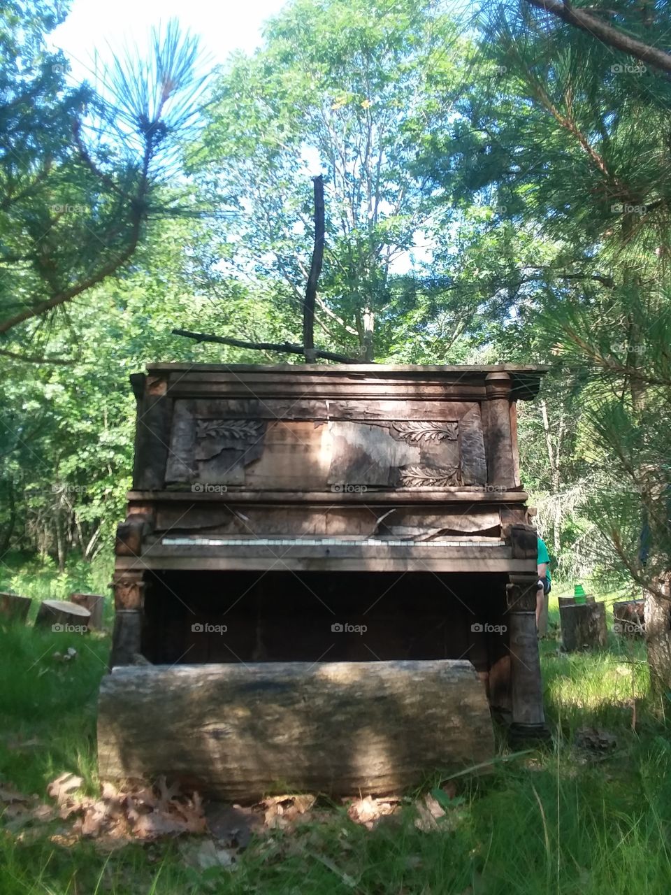 piano in the forest