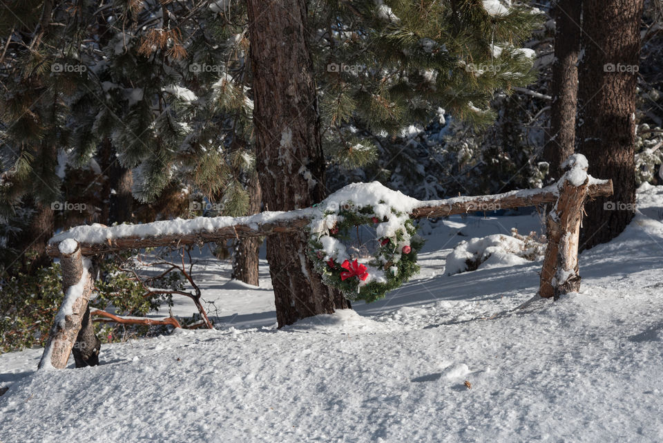 Snow covered winter wreath