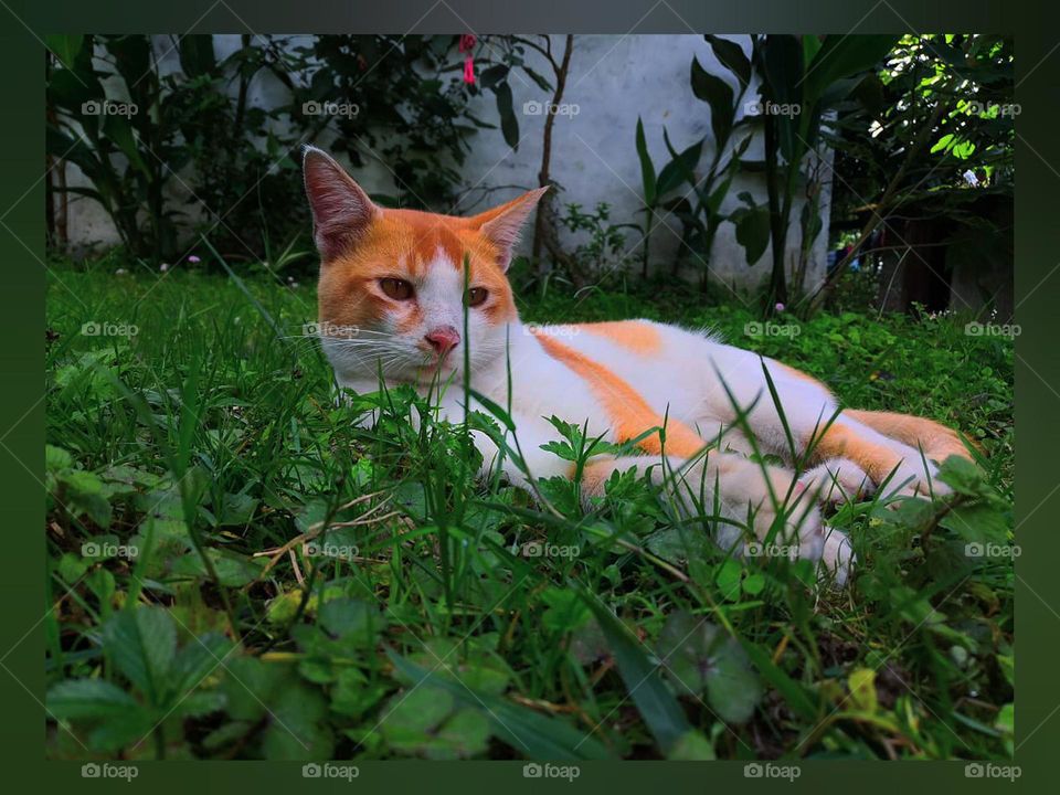 who the hell is disturbing me😒♥️