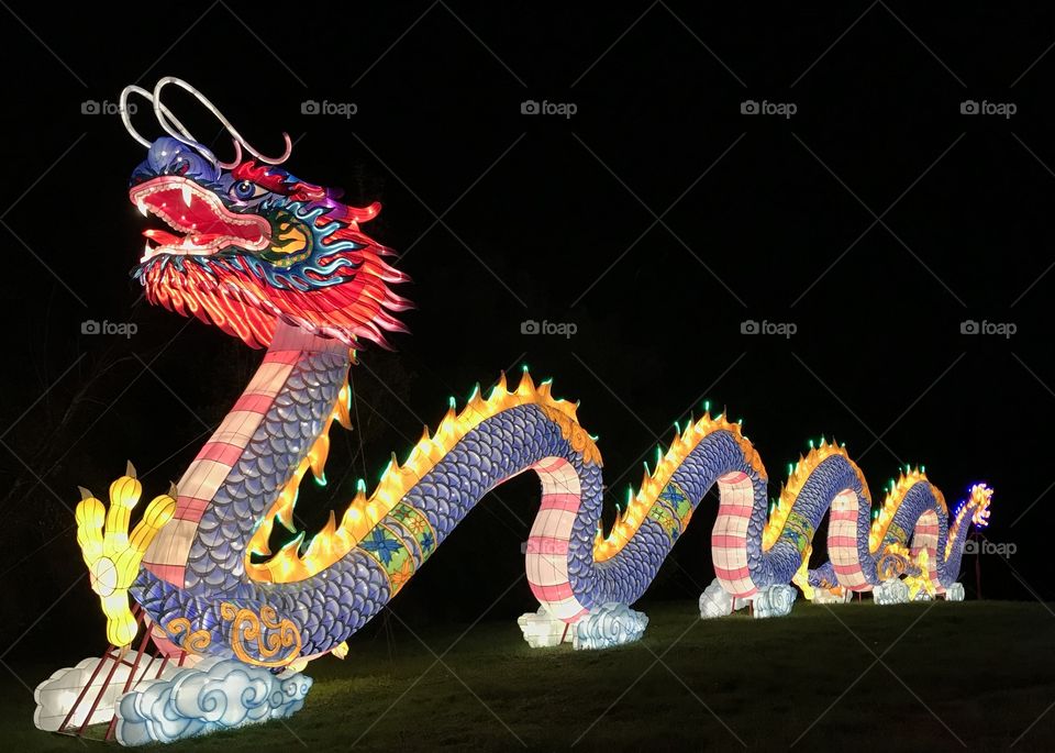 Dragon lights display 