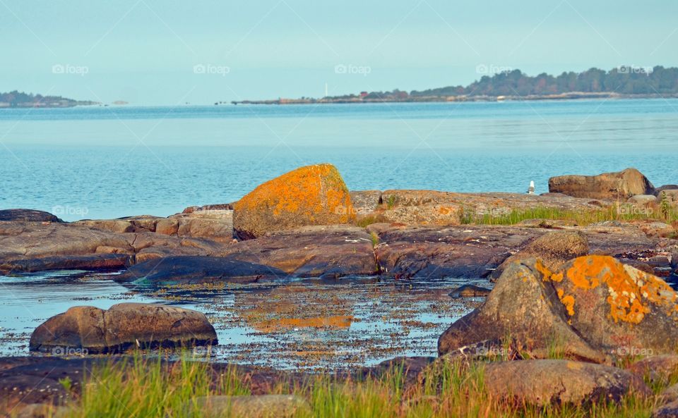 Yttre stekön, Ronneby archipelago, sweden