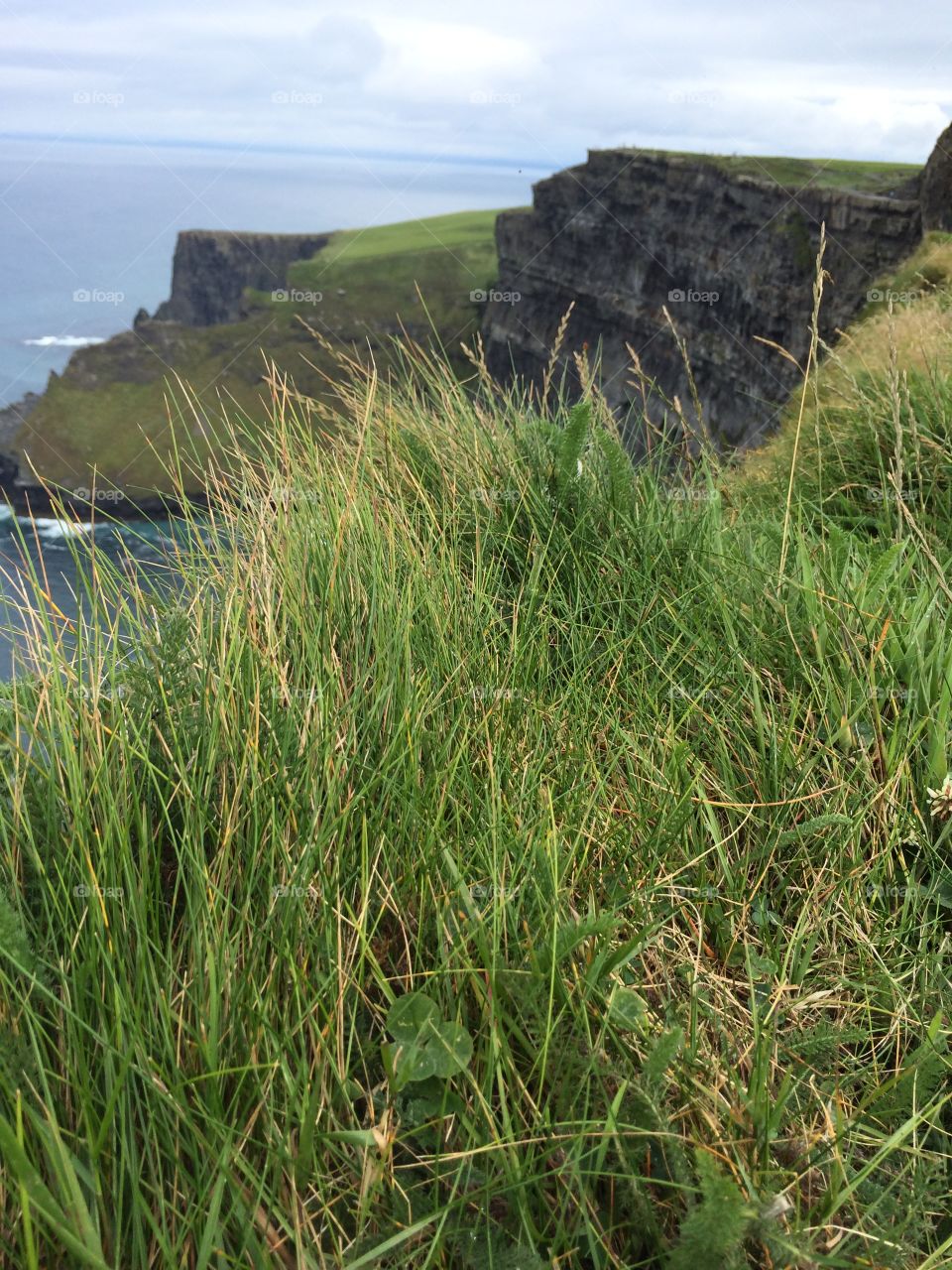 Cliffs of Moher