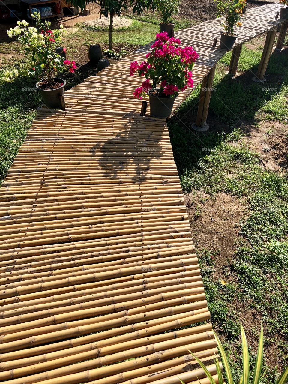 Wooden bamboo bridge 
