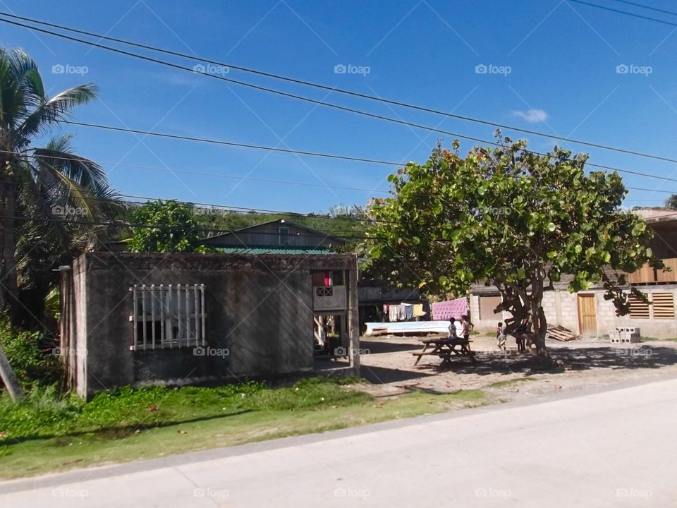 Picture from moving car traveling in Roatan Honduras  