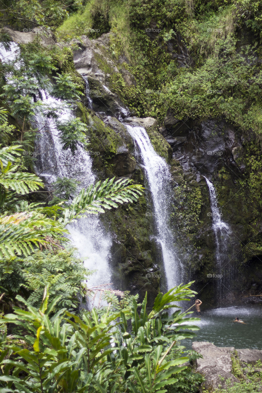 hidden falls.