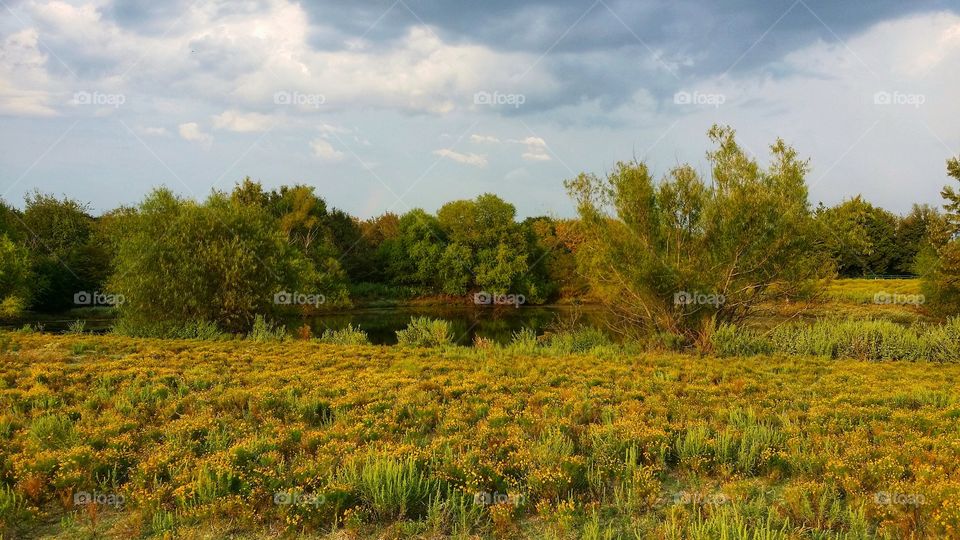 Early fall landscape 2019