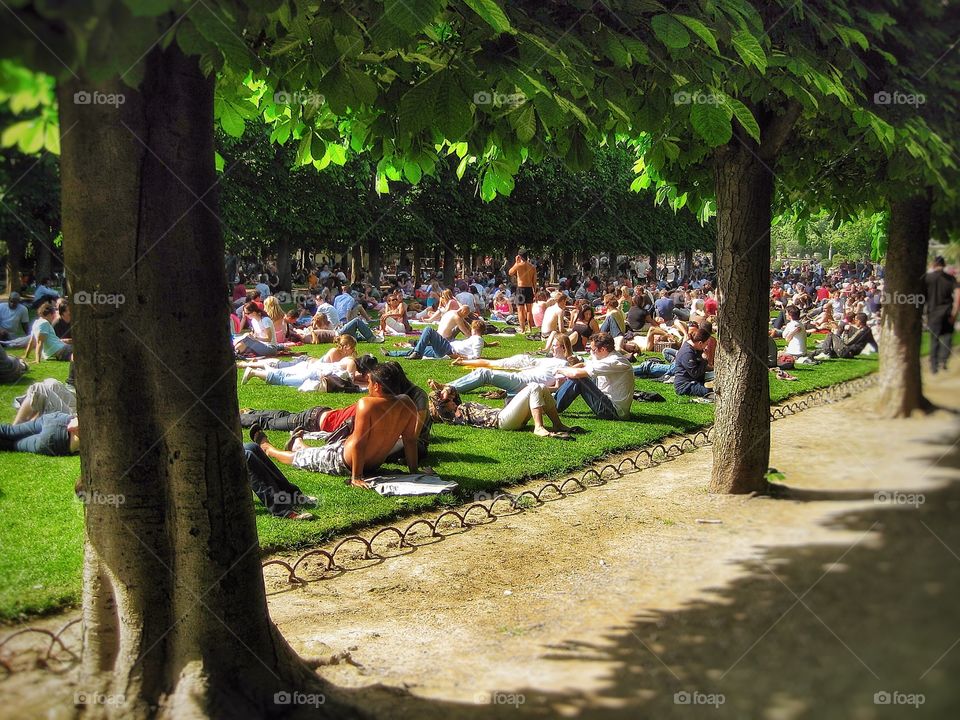 Jardins du Luxembourg Paris 