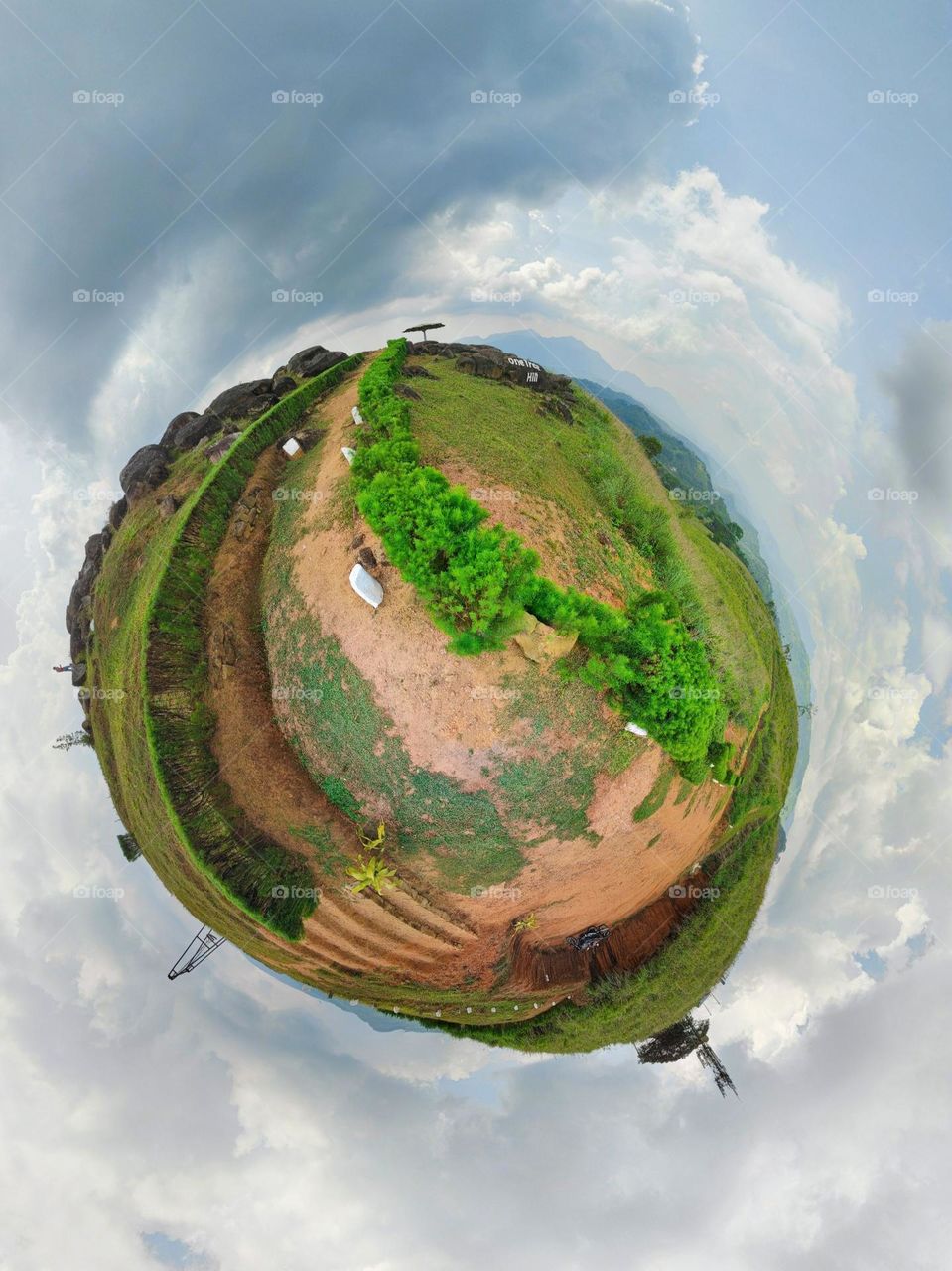 one tree hill 360° viwe