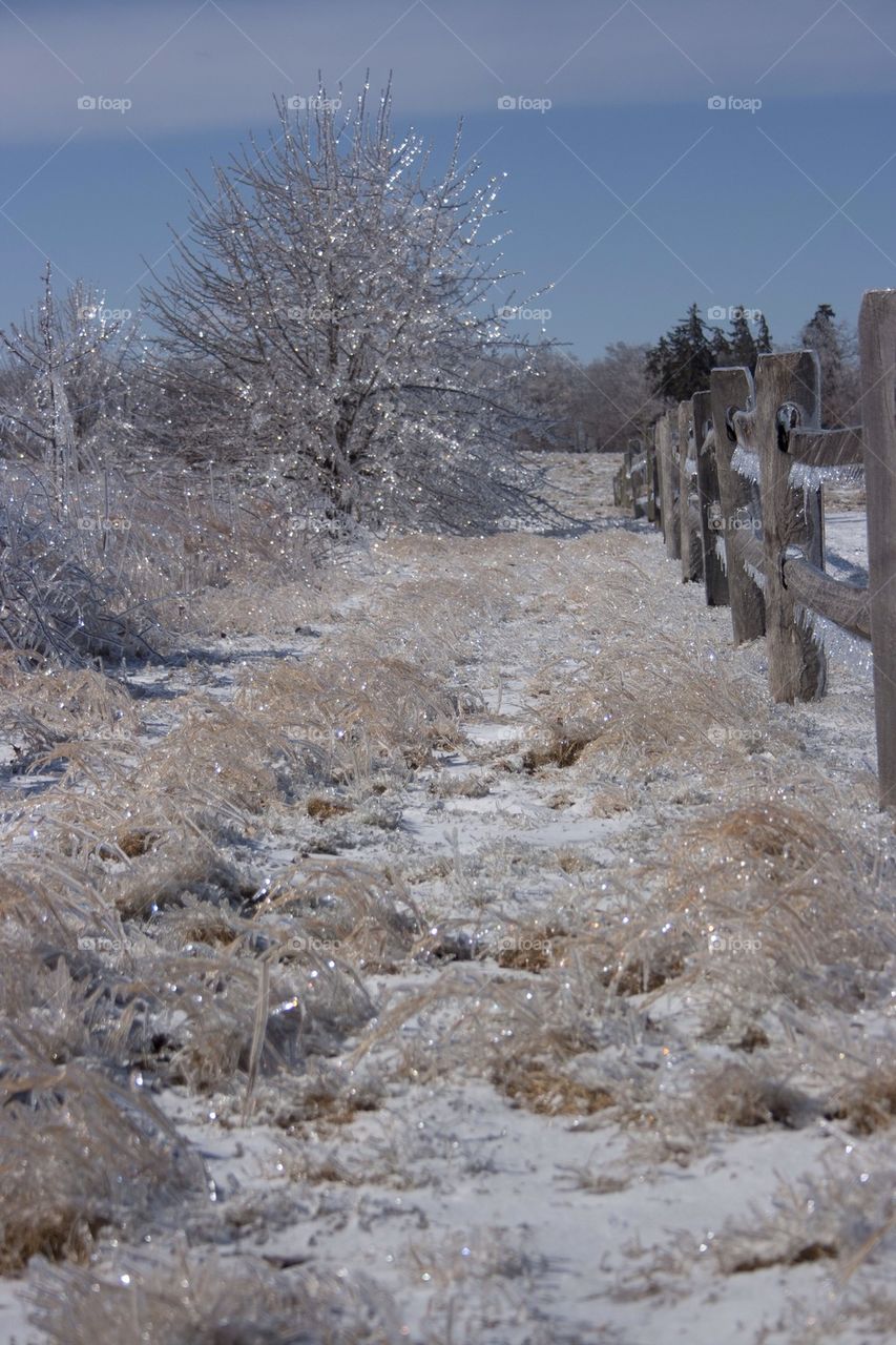 Ice storm