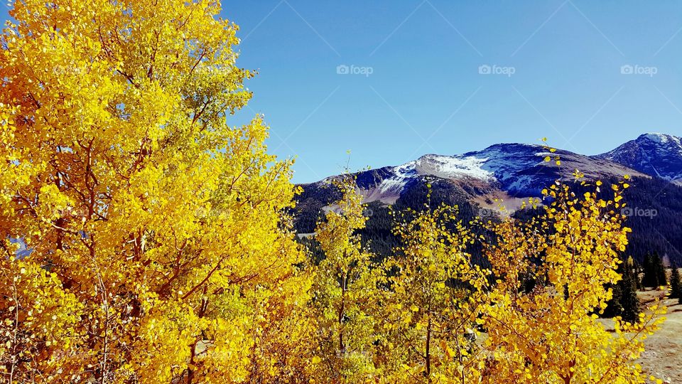Autumn. Taken just outside of Silverton, Colorado.