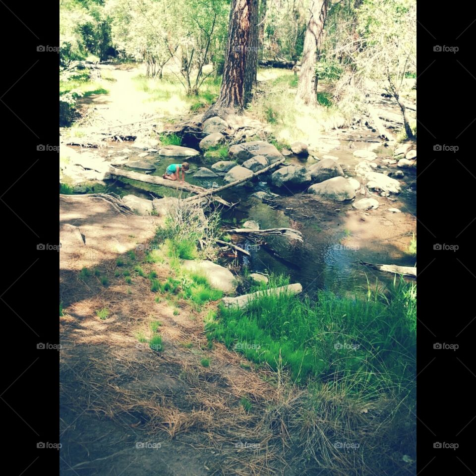 stream rocks grass trees