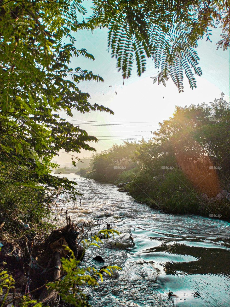 beautiful nature nature lover
sunlight cloud beauty