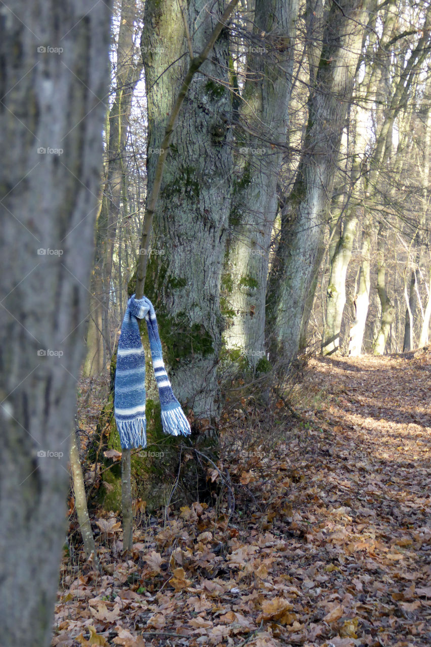 weather is getting cold