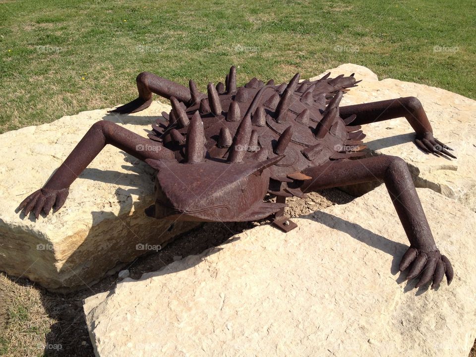 Susan Archer. Horned toad sculpture in Frisco, TX