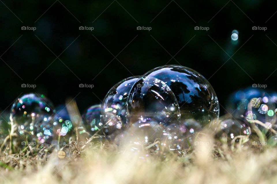 Bubbles in the grass