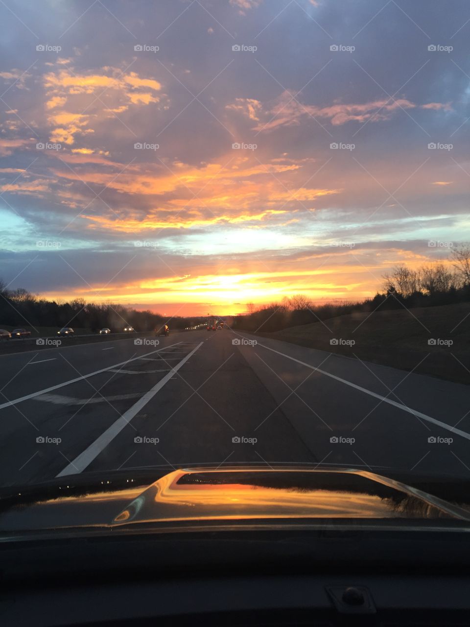 My  view this morning 