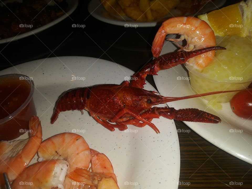 crawfish