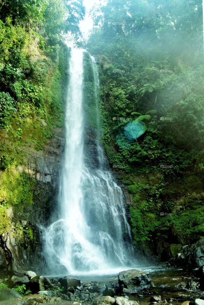 Waterfall in Bali