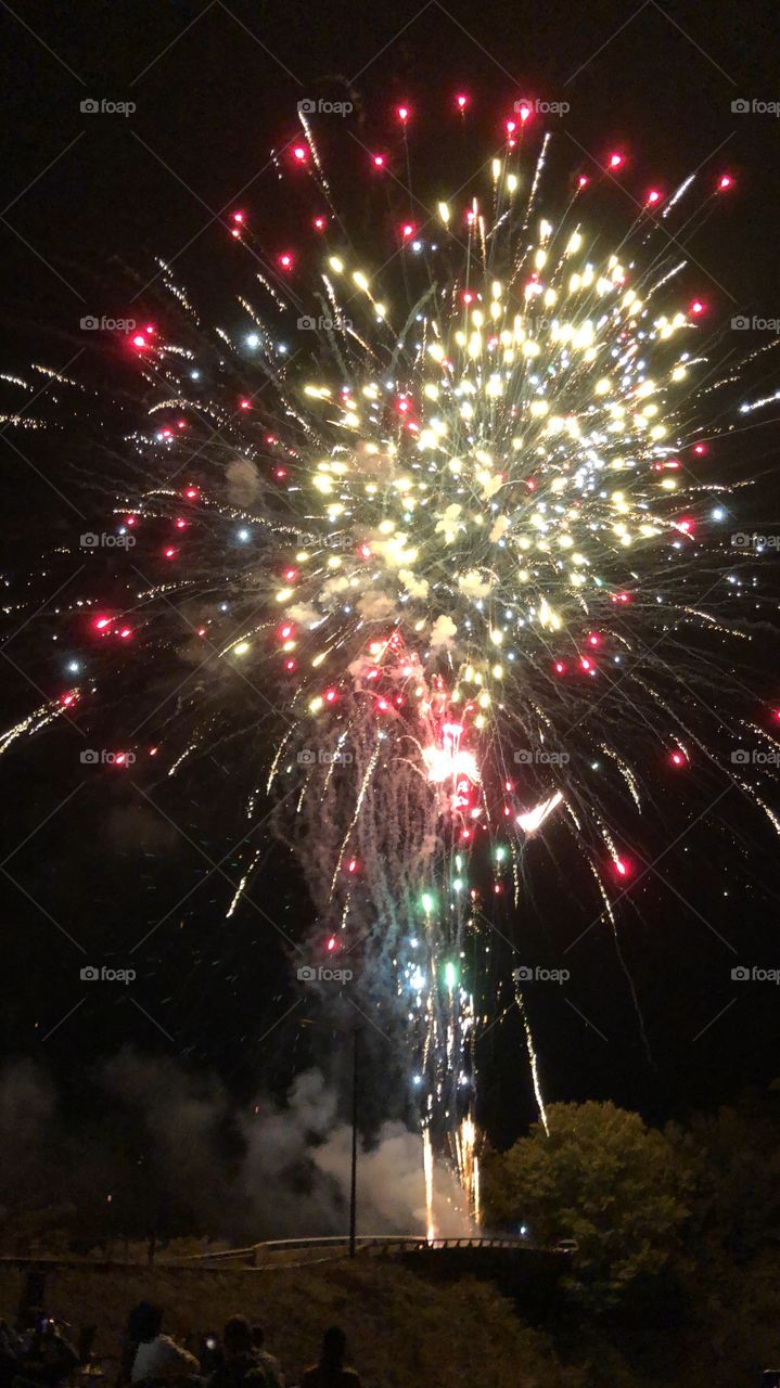 Brilliant fireworks displayed on a dark night