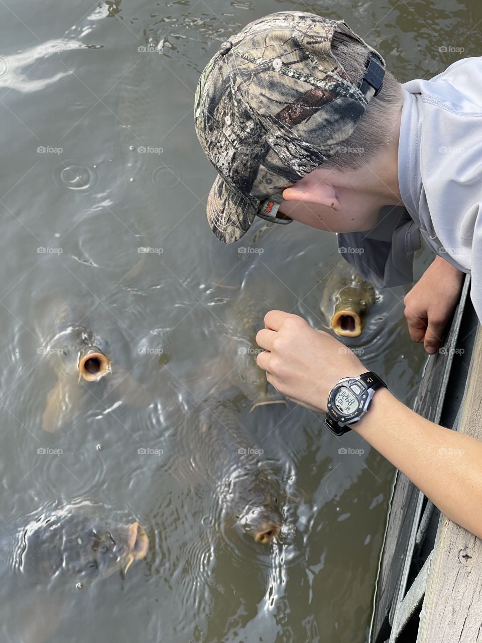 Feeding the fish