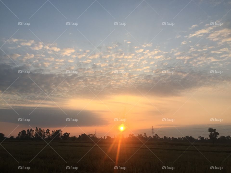Beautiful Sunlight, Sunset and tree landscape for sky background.