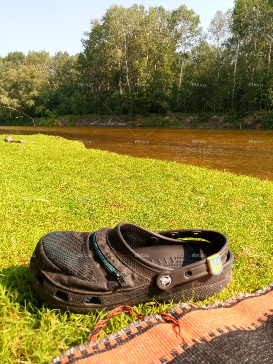 Crocs in nature