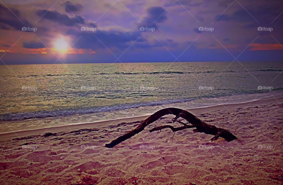 Driftwood on a sandy beach framed by a beautiful sunset in pastel colors.