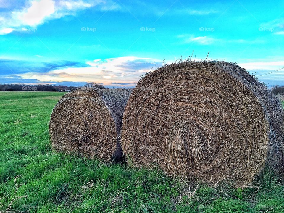 Hay bales 