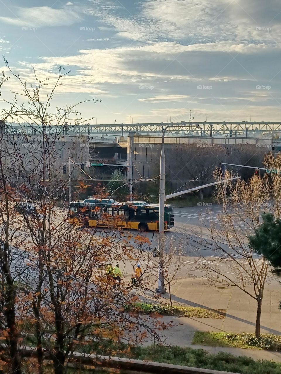 schools and universities series