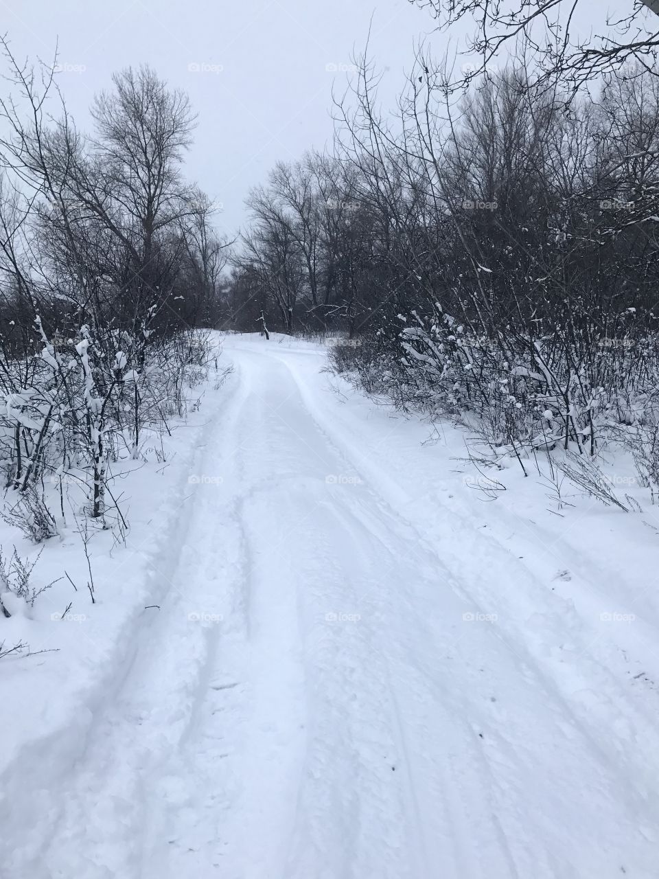 Winter road 