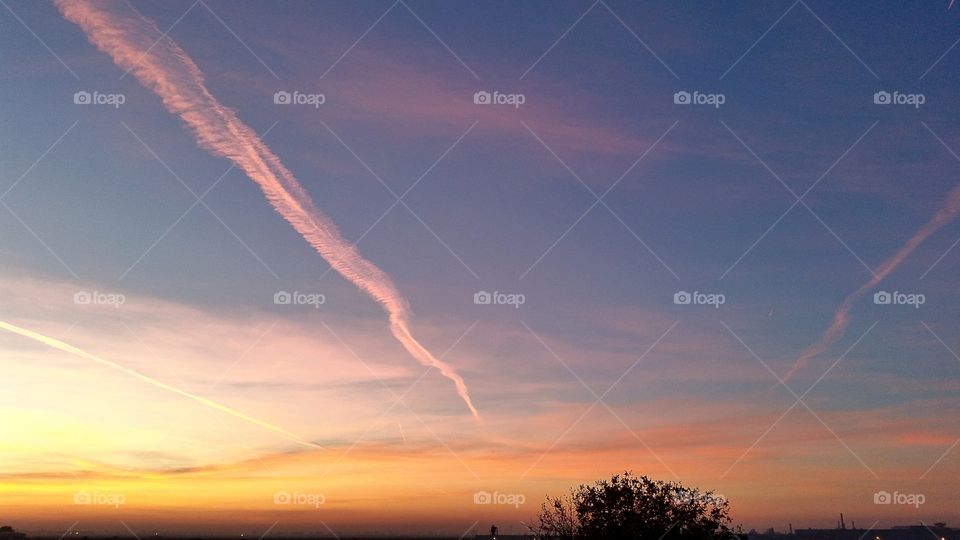 Silhouette of trees during sunset