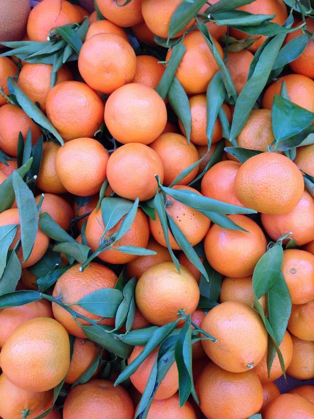 fruit