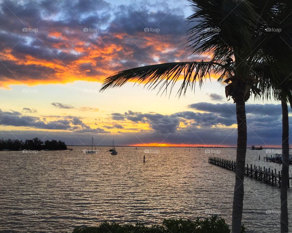 Sunrise with clouds overlooking a river with palm tree silhouette in foreground and moored boats in the background 