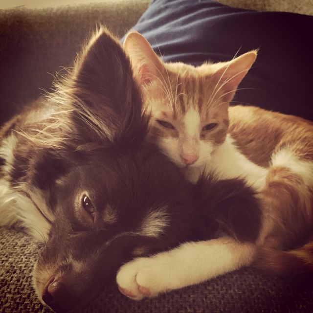 Unlikely friends