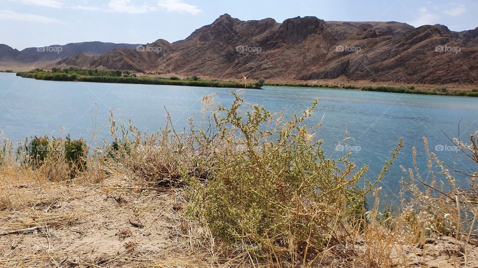 Ili river with island