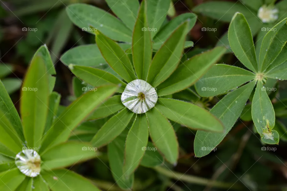 A drop