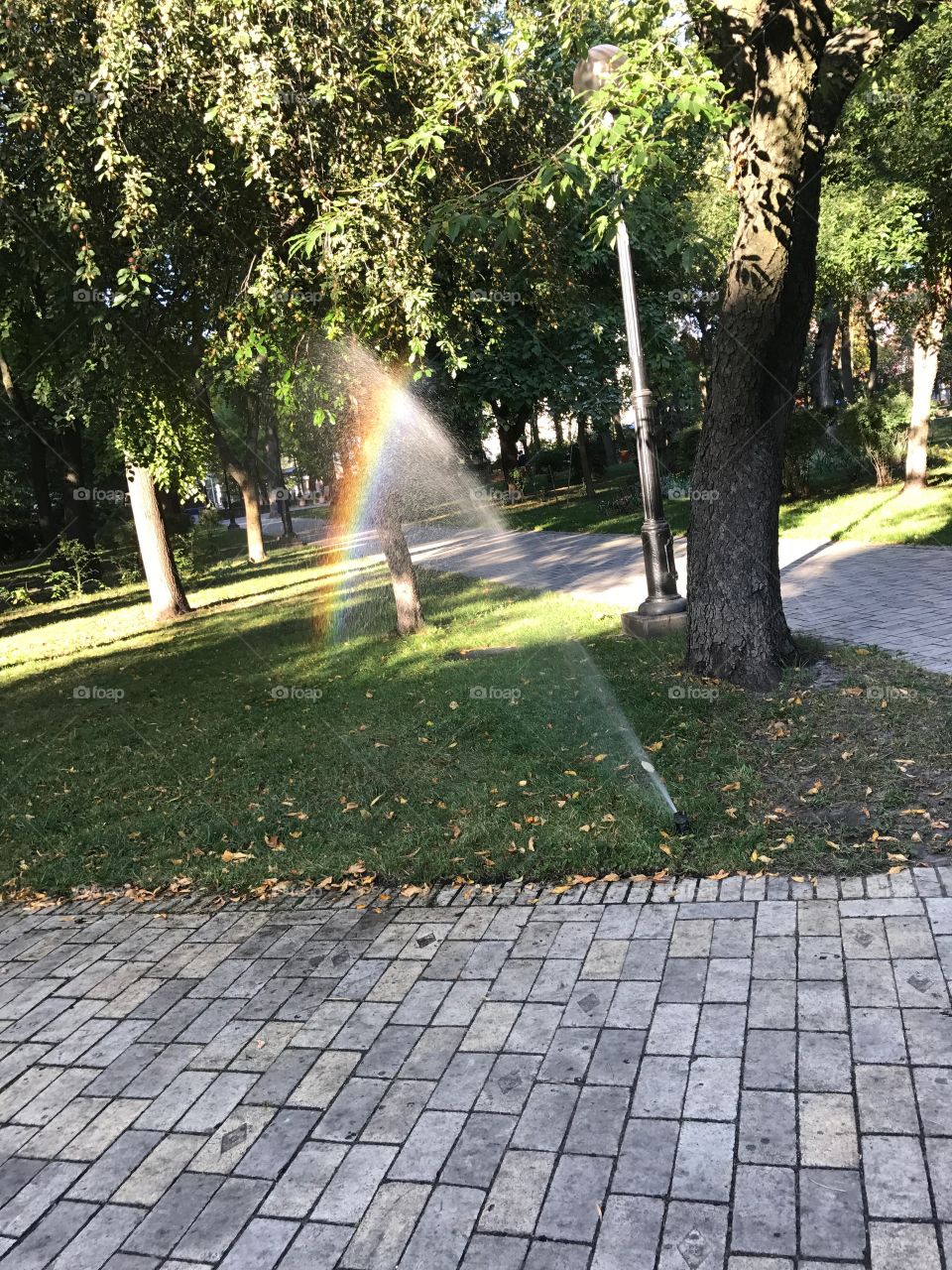 Rainbow in the park