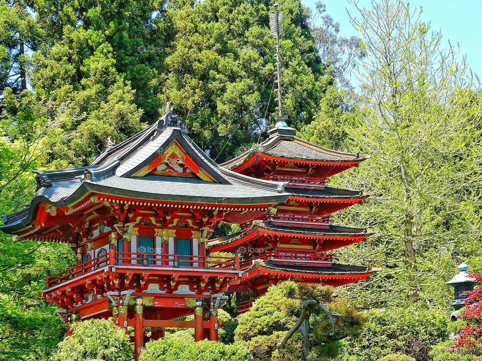 Japanese Pagoda. Brilliant Red Japanese Pagoda In A Tea Garden
