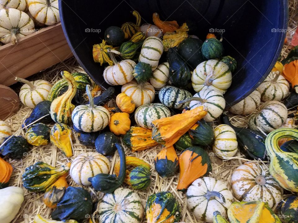 Squash types spilling out