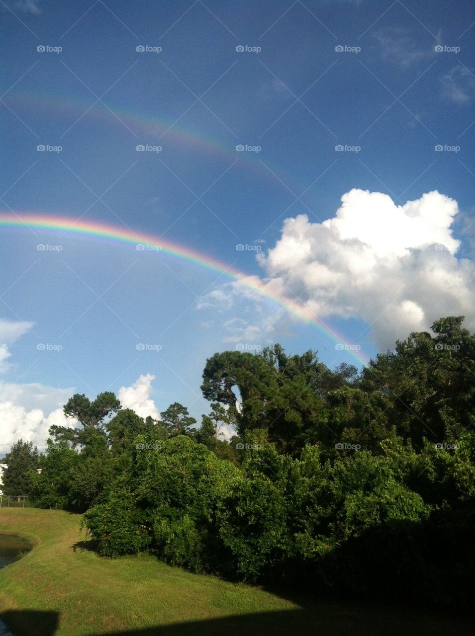 Rainbow. Rainbow in my backyard 