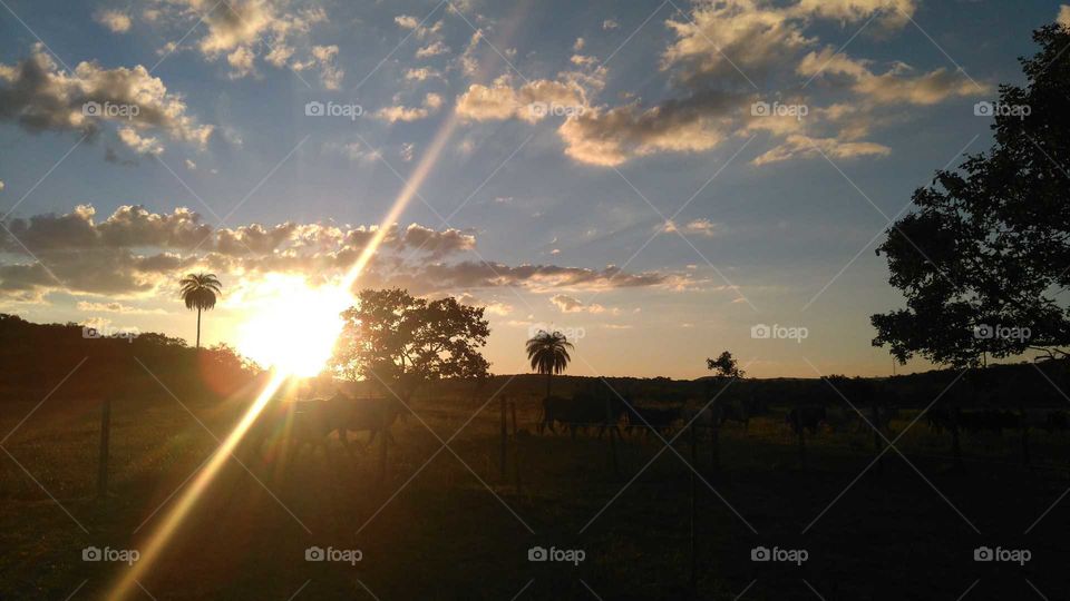 Sunset em Minas Gerais