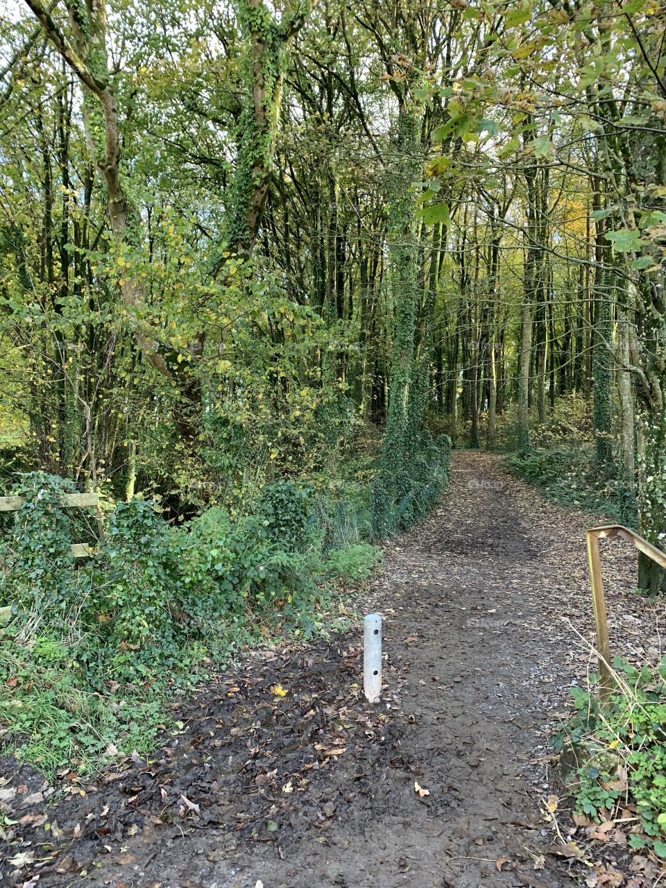 Llansteffan walking