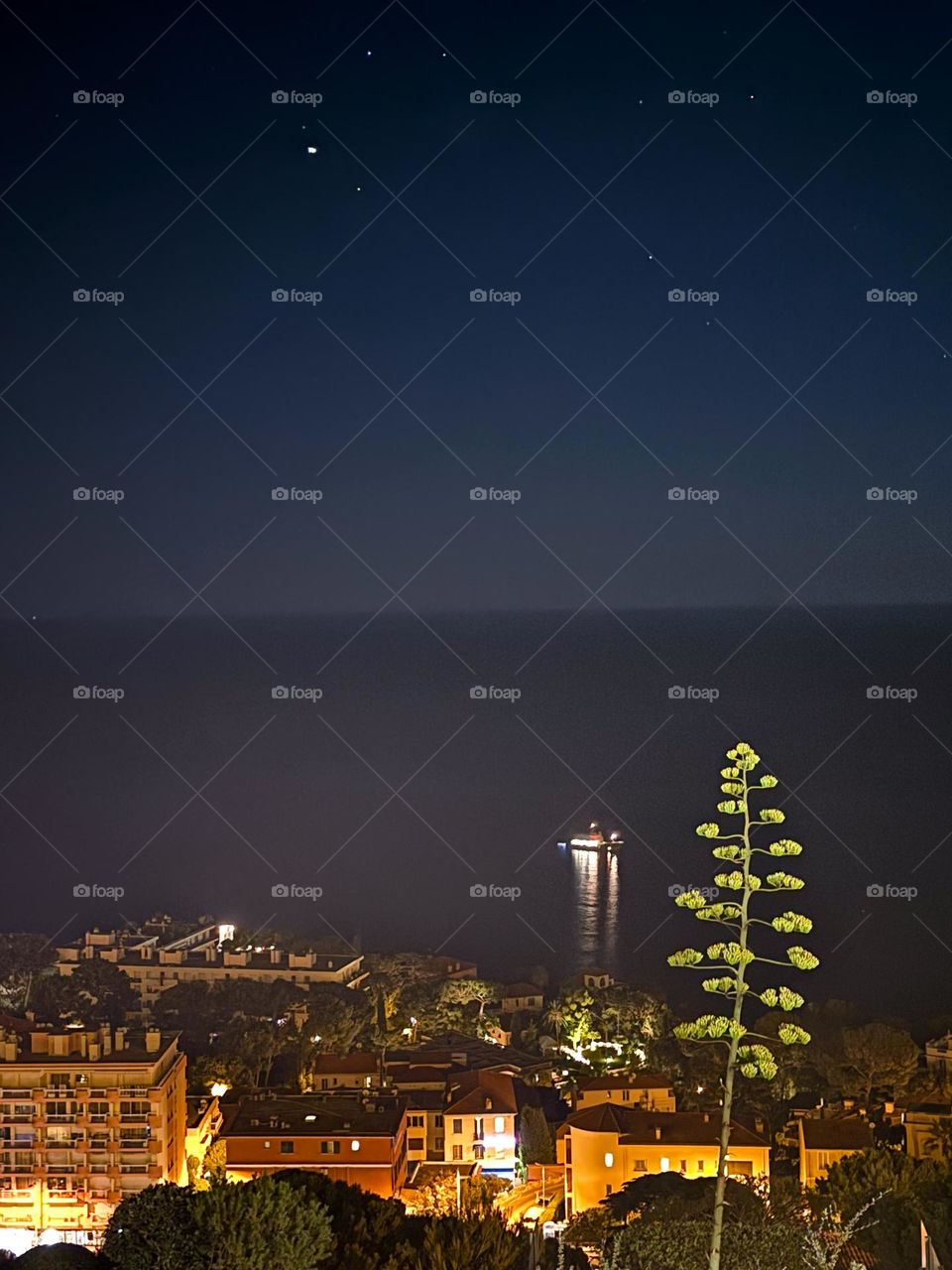 View on city and lake at night