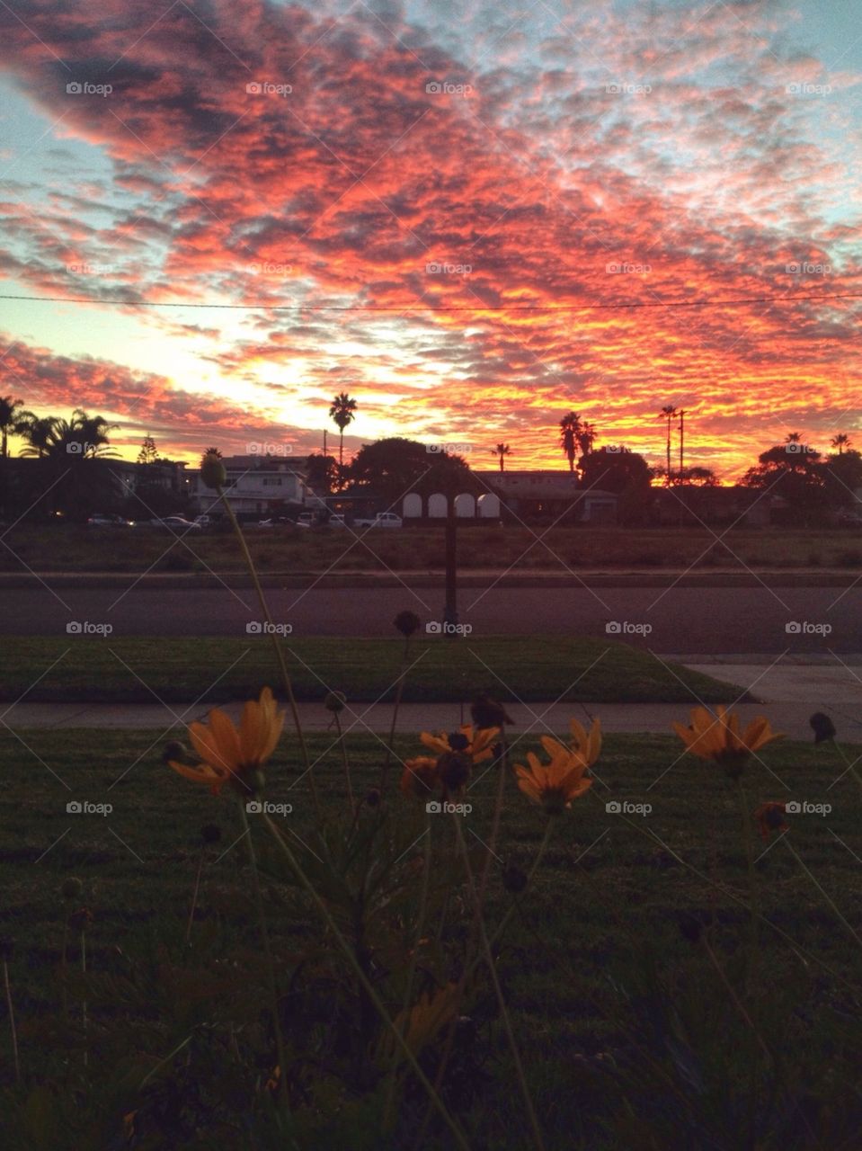 Scenic view of dramatic sky at sunset