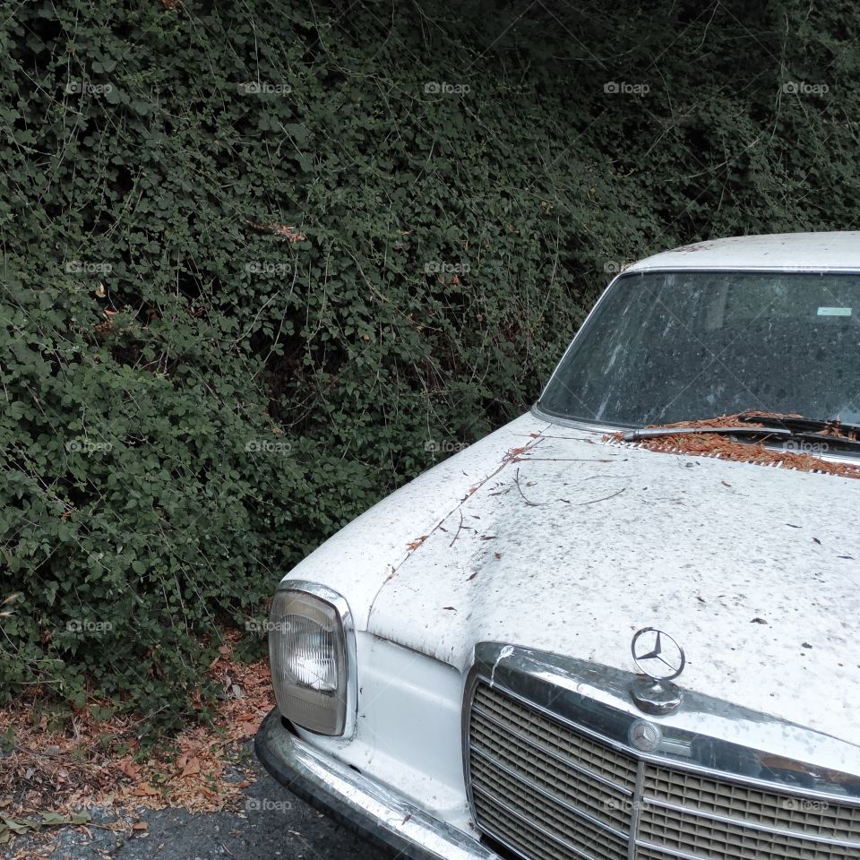 classic Mercedes Benz in front of green wall