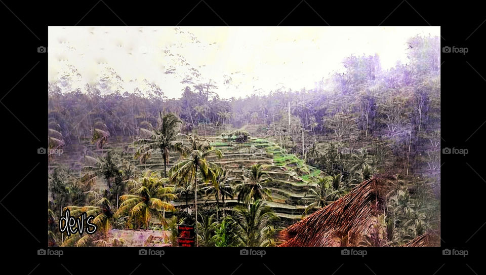 Terracering Ceking, Ubud