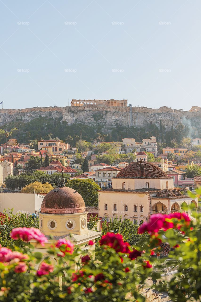 Winter in Athens be like this! 🌷