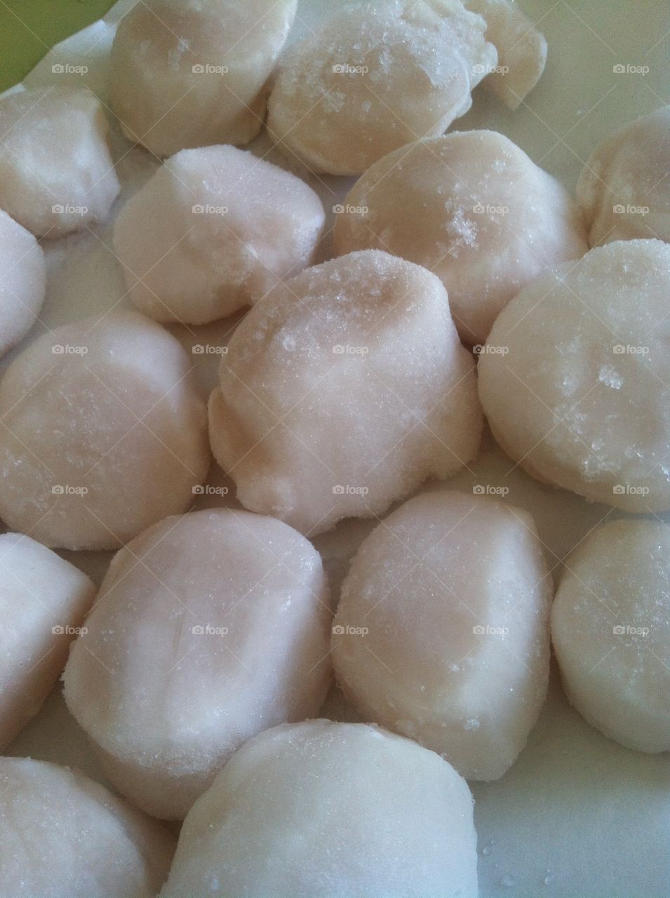 Raw sea scallops 