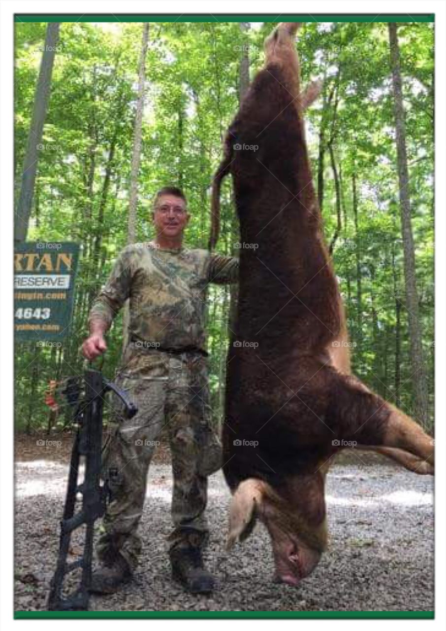 Bow Hunter with his 650 pound Wild Bore